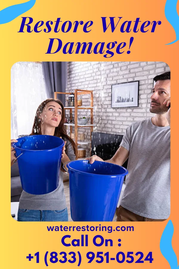 water restoration Universal Extraction Professionals Hartwell