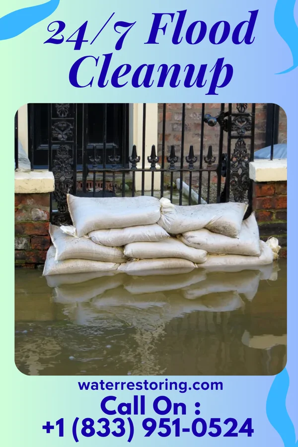 24/7 Flood Cleanup in Hartwell, MO