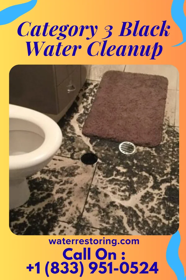 Category 3 Black Water Cleanup in Hartwell, MO