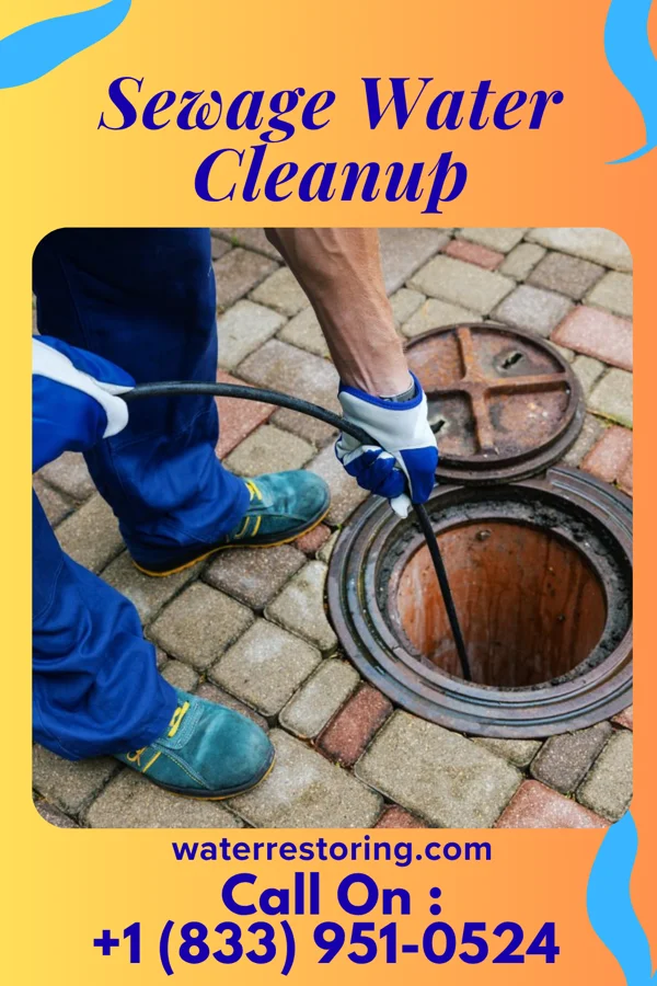 Sewage Water Cleanup in Hartwell, MO